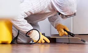 Best Pest Prevention Services  in Mount Vernon, IN